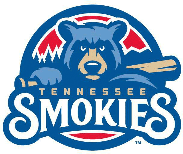 Tennessee Smokies 2015-Pres Primary Logo iron on heat transfer